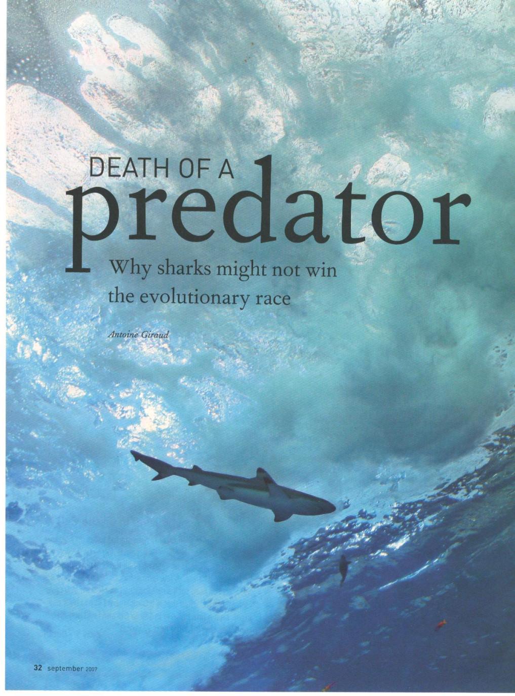 Shark article 1